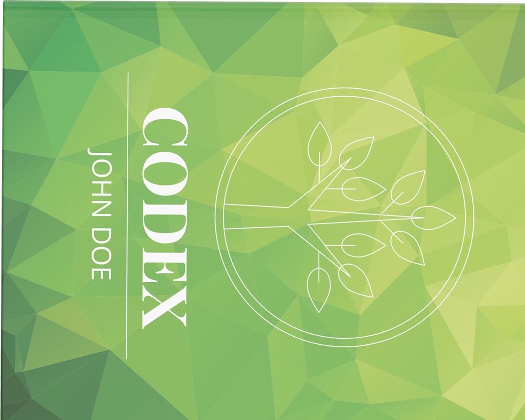 Codex - Book cover