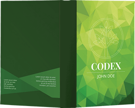 Codex - Ebook cover