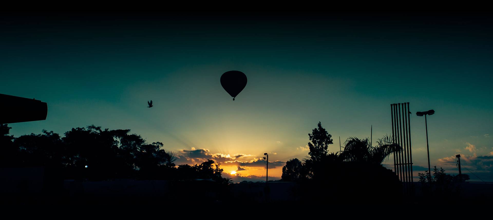 Shutterbug - Hot Air Balloon Sunset